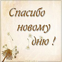 Картинка спасибо новому дню