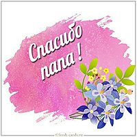Картинка спасибо папа