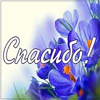 Картинка спасибо с цветами