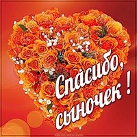 Картинка спасибо сыночек