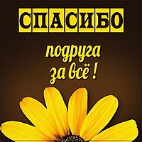 Картинка спасибо тебе за все подруга