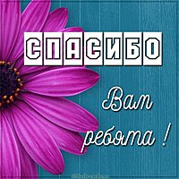 Картинка спасибо вам ребята