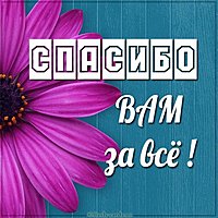 Картинка спасибо вам за все