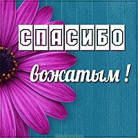 Картинка спасибо вожатым