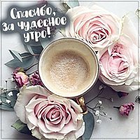 Картинка спасибо за чудесное утро