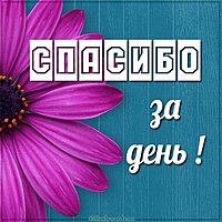 Картинка спасибо за день