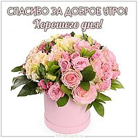 Картинка спасибо за доброе утро хорошего дня