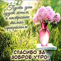 Картинка спасибо за доброе утро