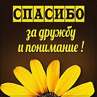 Картинка спасибо за дружбу и понимание