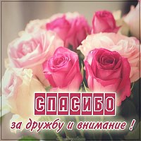 Картинка спасибо за дружбу и внимание