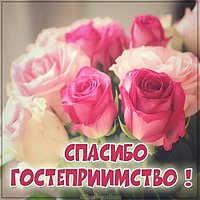 Картинка спасибо за гостеприимство красивая