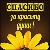 Картинка спасибо за красоту души