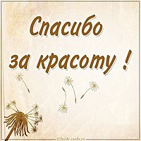 Картинка спасибо за красоту красивая