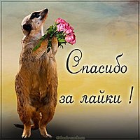 Картинка спасибо за лайки