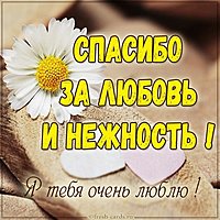 Картинка спасибо за любовь и нежность
