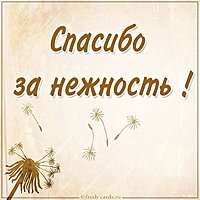 Картинка спасибо за нежность