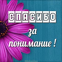 Картинка спасибо за понимание