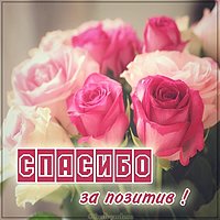 Картинка спасибо за позитив красивая