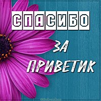 Картинка спасибо за приветик