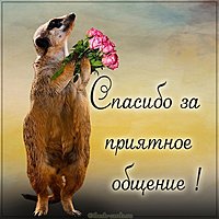 Картинка спасибо за приятное общение