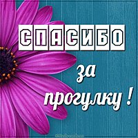 Картинка спасибо за прогулку