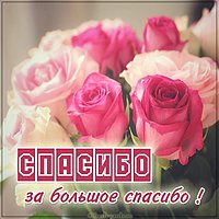 Картинка спасибо за спасибо большое