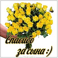 Картинка спасибо за сына красивая