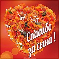 Картинка спасибо за сына маме