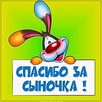 Картинка спасибо за сына