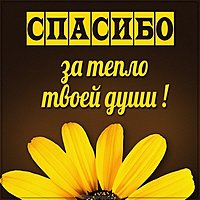 Картинка спасибо за тепло твоей души