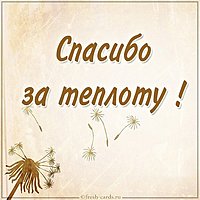 Картинка спасибо за теплоту