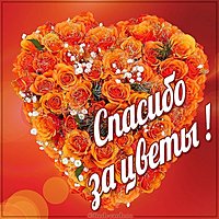 Картинка спасибо за цветы красивая