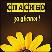 Картинка спасибо за цветы