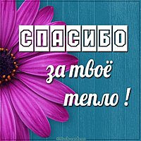 Картинка спасибо за твое тепло