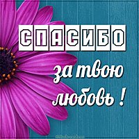 Картинка спасибо за твою любовь
