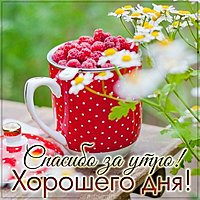 Картинка спасибо за утро хорошего дня