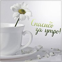 Картинка спасибо за утро
