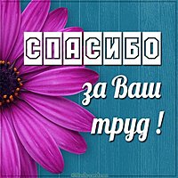Картинка спасибо за ваш труд