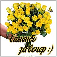 Картинка спасибо за вечер девушке