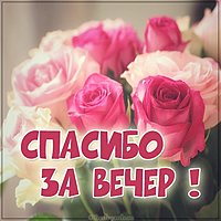 Картинка спасибо за вечер подруге
