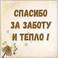 Картинка спасибо за заботу и тепло