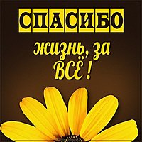 Картинка спасибо жизнь за все