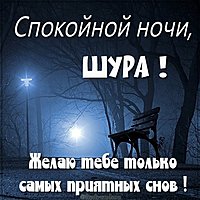 Картинка спокойной ночи Шура
