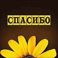 Картинка цветы с надписью спасибо
