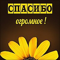 Картинка цветы спасибо огромное