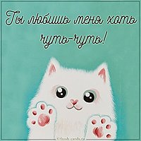 Картинка ты любишь меня хоть чуть чуть