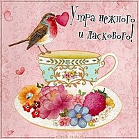 Картинка утра нежного и ласкового