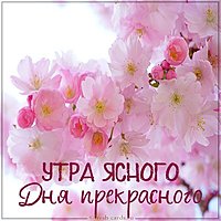 Картинка утра ясного дня прекрасного