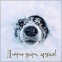 Картинка утро доброе прикольная друзьям и близким