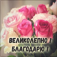 Картинка великолепно благодарю